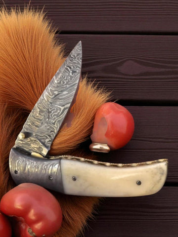 Folding Pocket Knife
